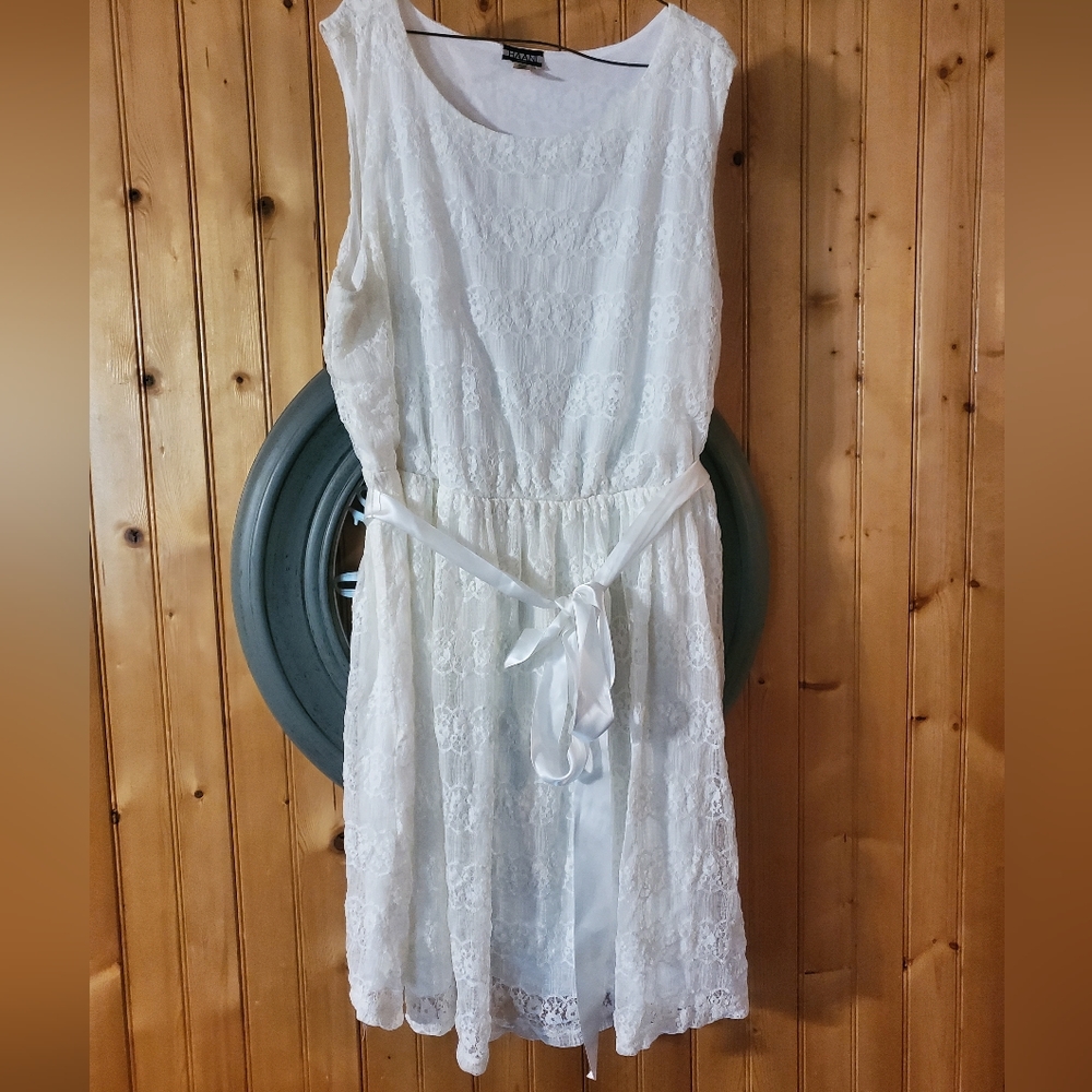 Haani size 2x dress